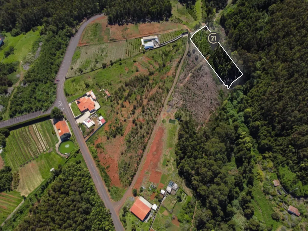 Terreno com Vista Mar e Viabilidade de Construção para Habitação Própria em Gaula - Image 17