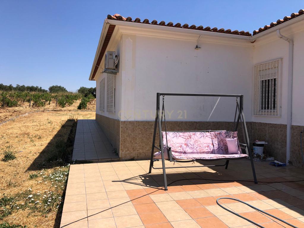 Espetacular Moradia com Piscina e Vinhedo em Campo Maior - Image 13
