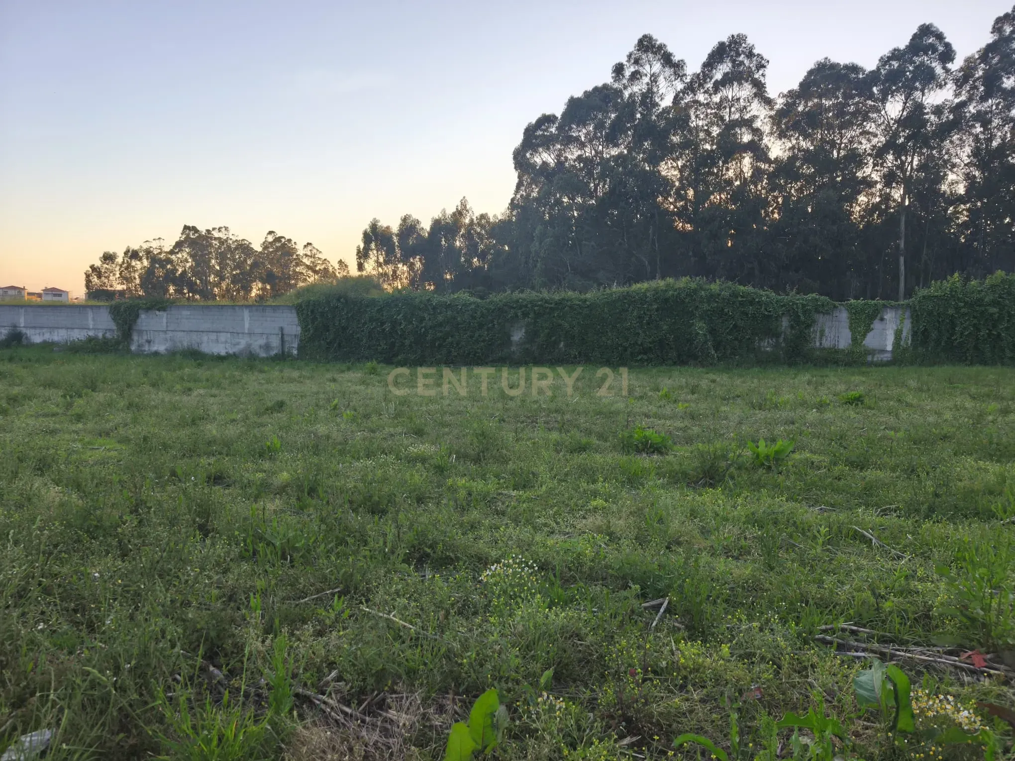 Fotografia 11 de Quer construir uma moradia à sua medida perto da Póvoa de Varzim?