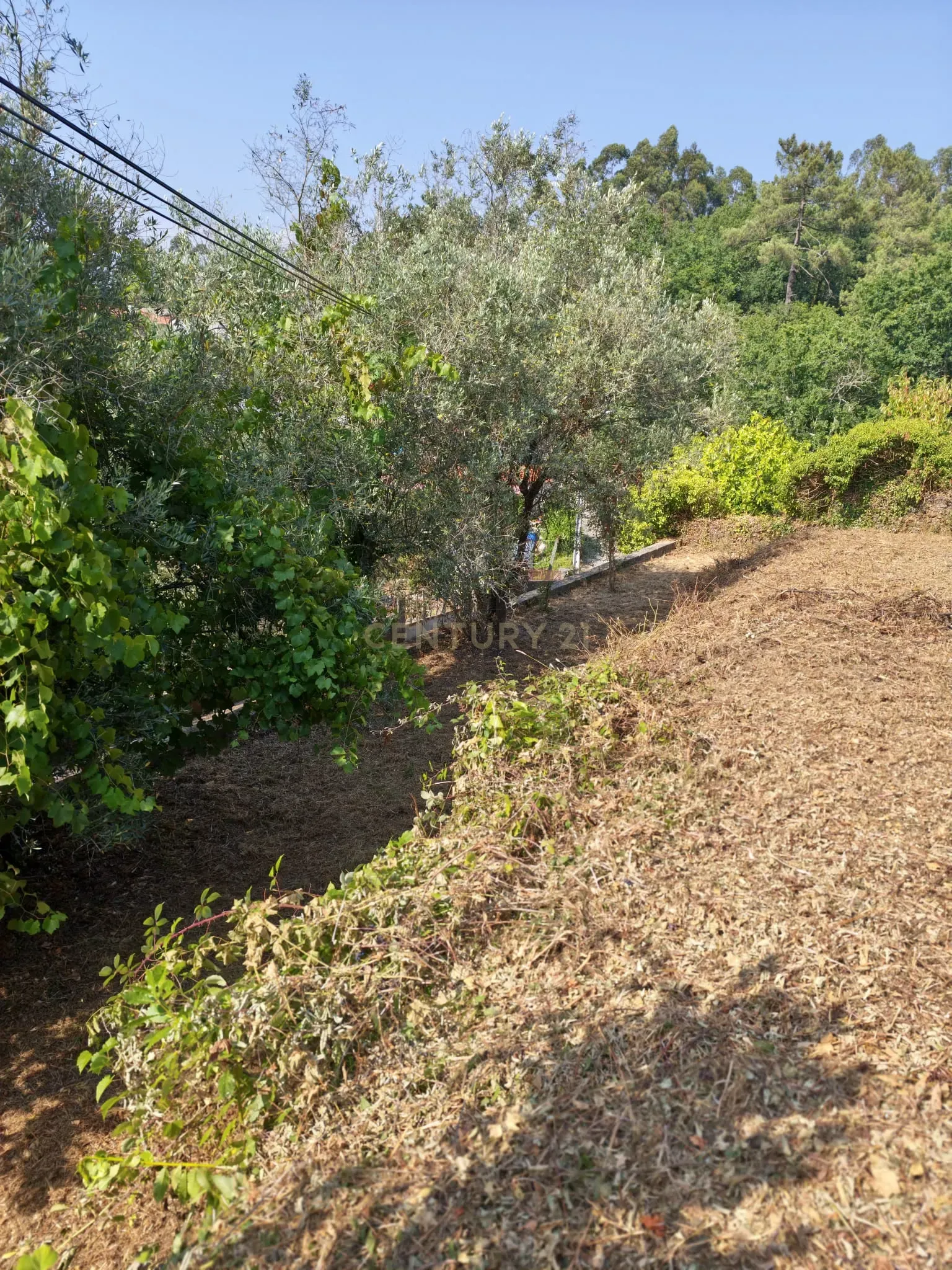 Fotografia 10 de Terreno para construção | 500m2 | PIP em aprovação | Agrela | Santo Tirso