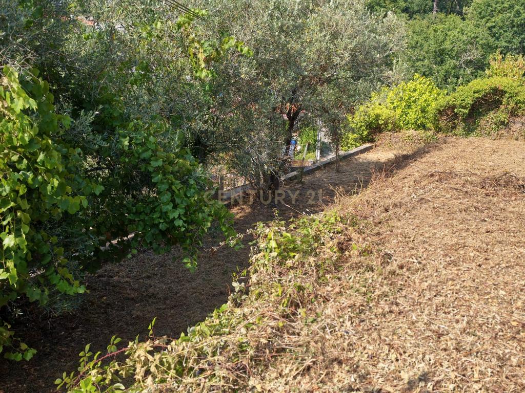 Terreno para construção | 500m2 | PIP em aprovação | Agrela | Santo Tirso - Image 10
