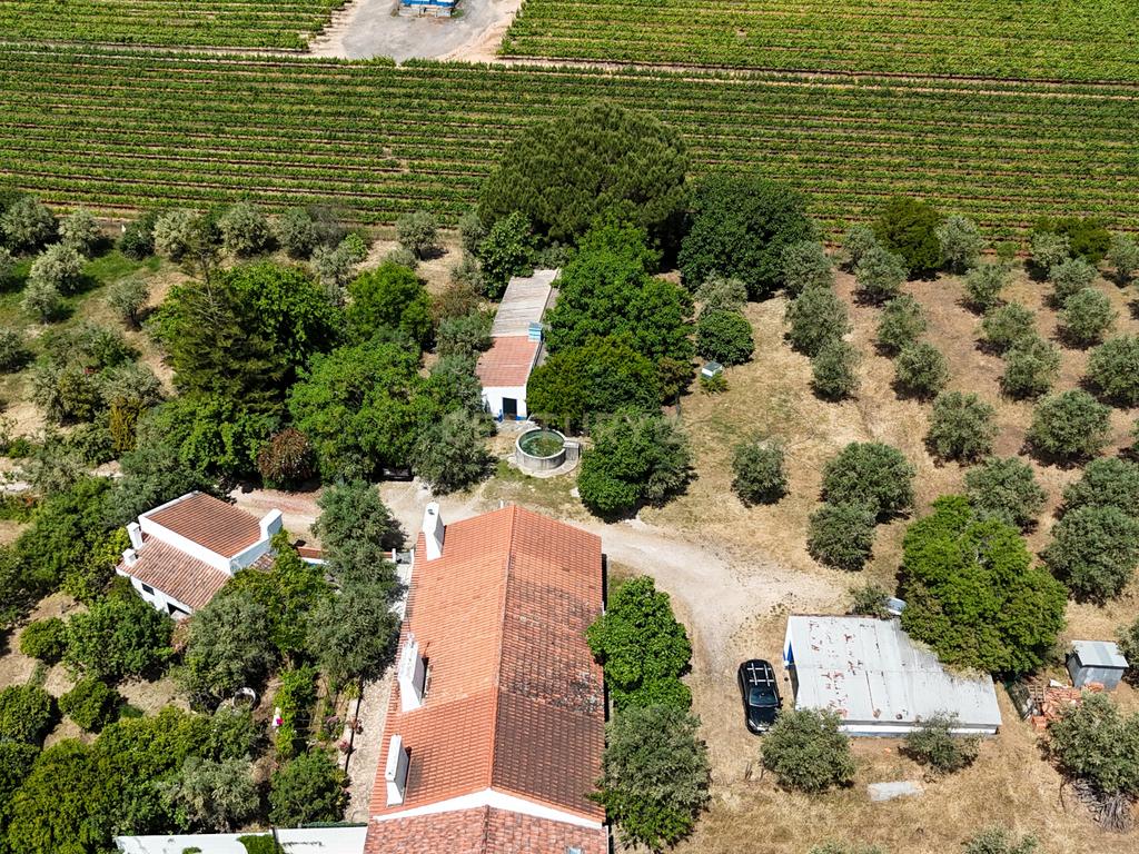 Quinta T3+3 com 4 HA em Borba – Natureza, Produção Agrícola e Conforto - Image 30