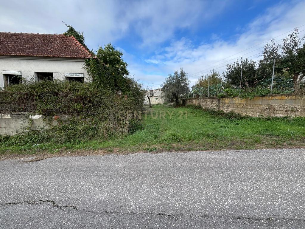 Moradia em ruína para recuperação em Pombal, Leiria - Image 6
