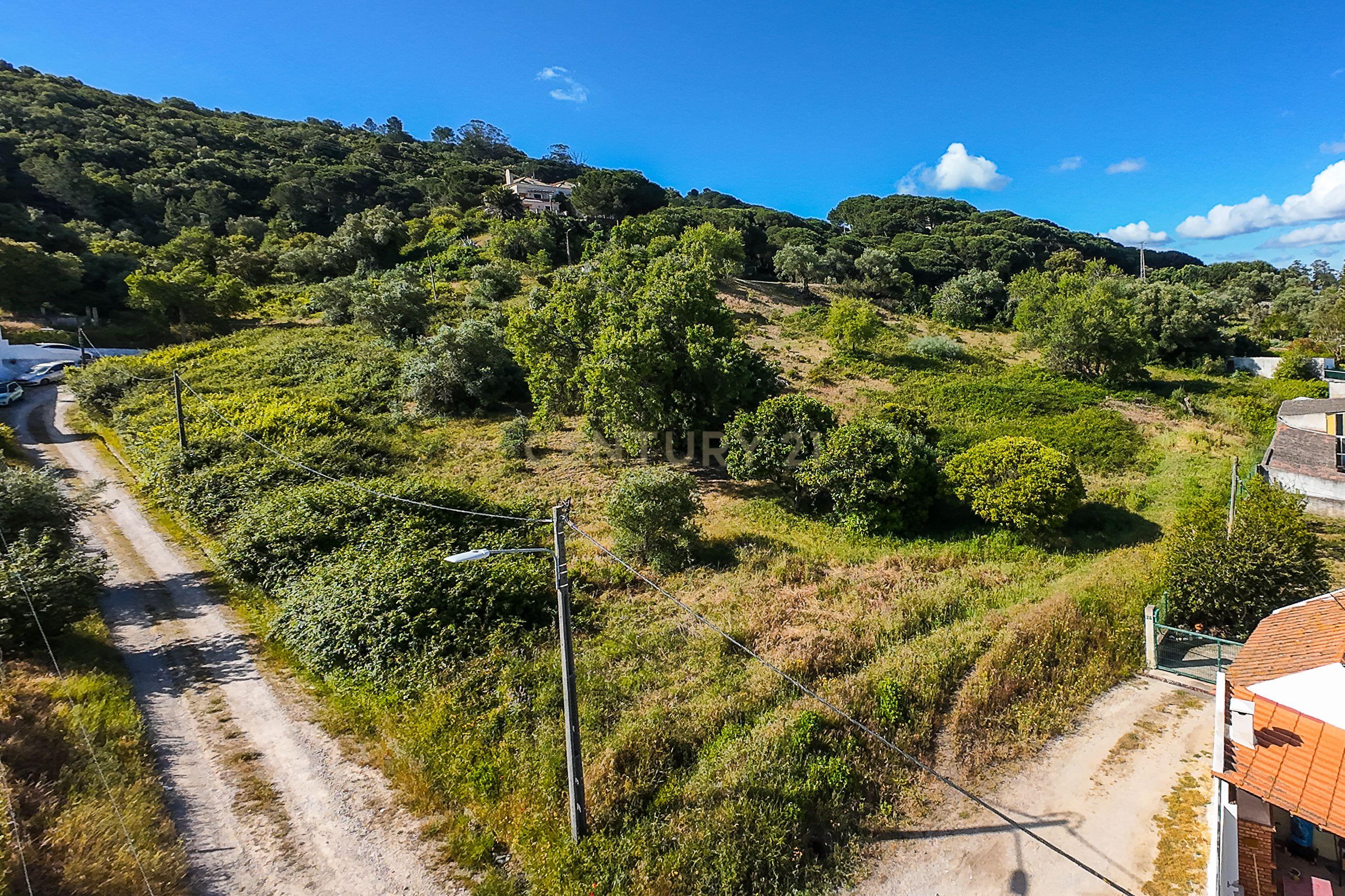 Fotografia 9 de 🏡 Terreno de Sonho com Vista para Lisboa: