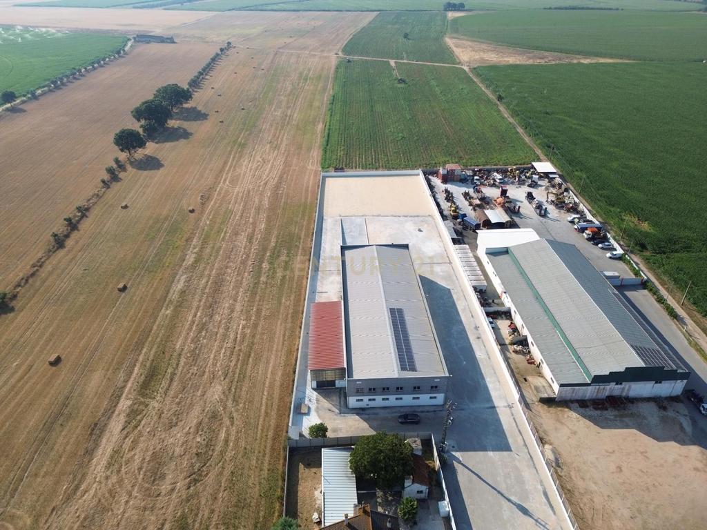 Armazém Industrial para Arrendamento – Riachos, Torres Novas - Image 40