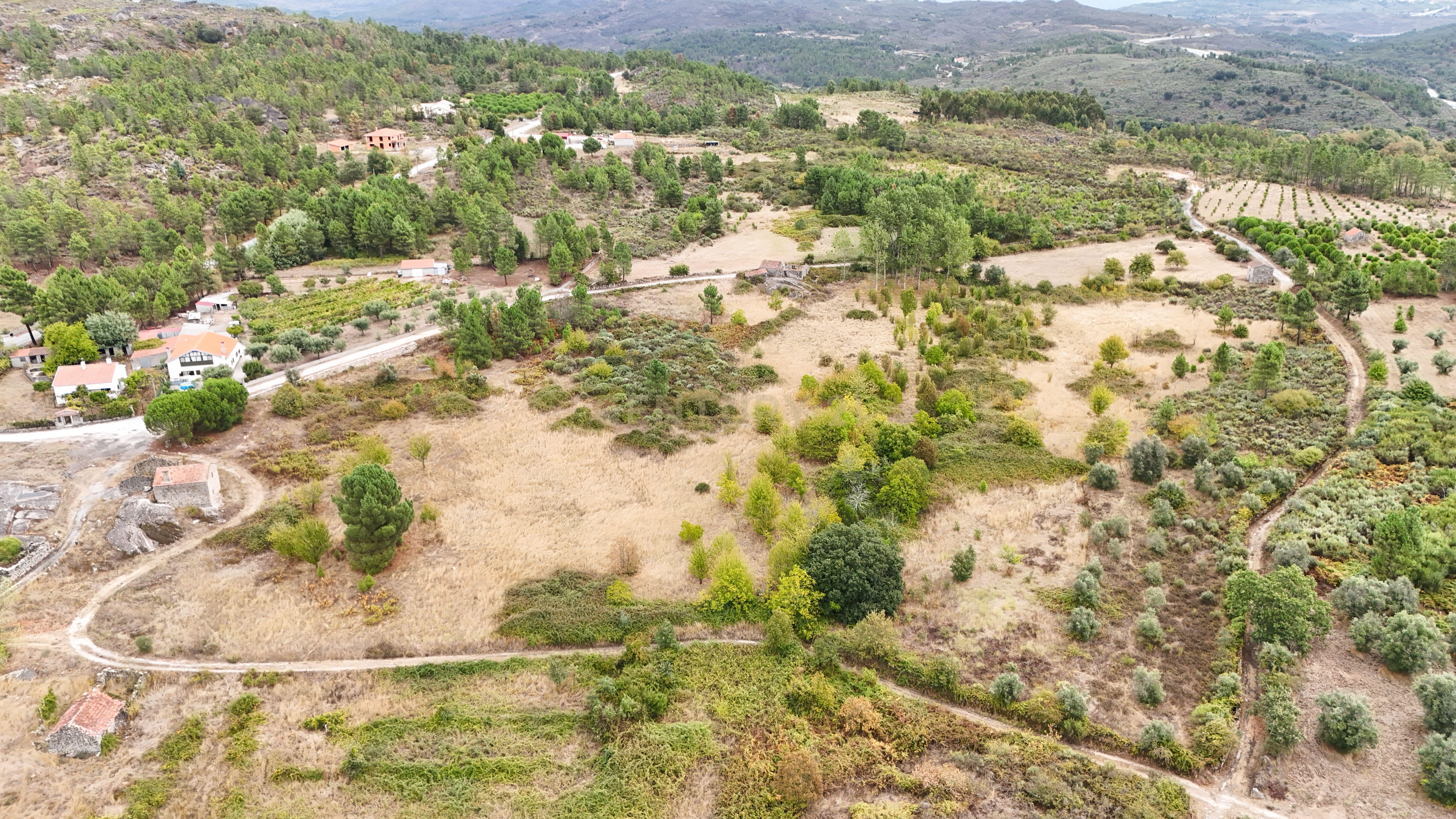 Fotografia 11 de Quinta com 37.000 m² e casa de pedra em Figueiró da Granja - Fornos de Algodres