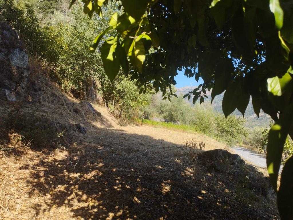 Moradia em ruina repleta de belas histórias, para reconstruir, no coração do Douro em Frende, Baião - Image 30