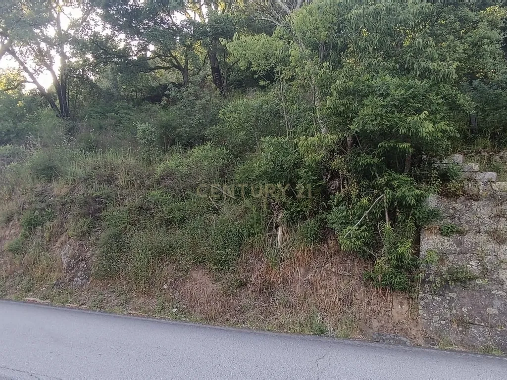 Terreno florestal com vista para a praia fluvial de Porto de Rei em Barqueiros, Mesão Frio às portas do Douro - Image 26