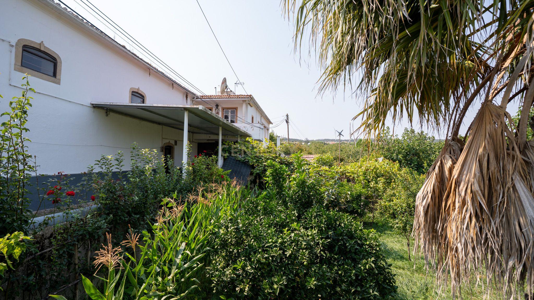 Fotografia 11 de Oportunidade Única em Torres Vedras: Armazém com grande Potencial