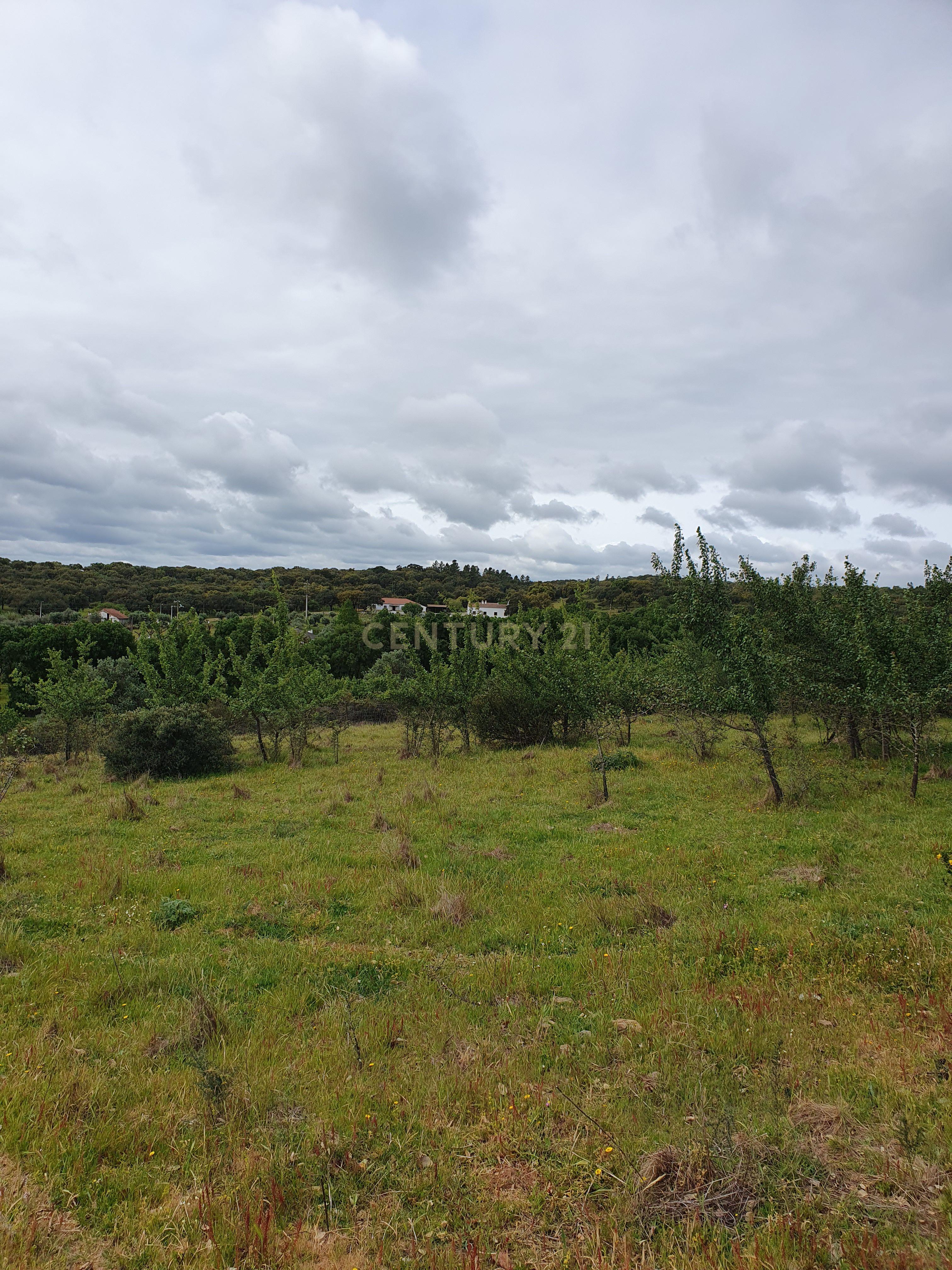 Fotografia 12 de Terreno Urbano na Serra D`Ossa Redondo