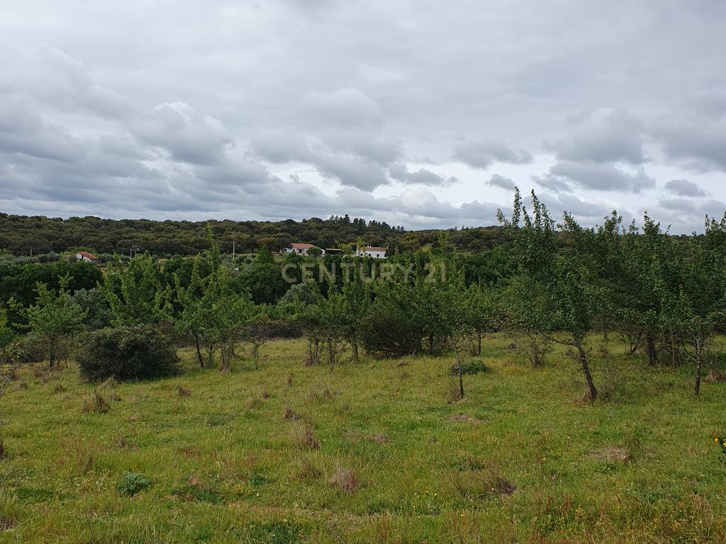 Terreno Urbano na Serra D`Ossa Redondo - Image 12