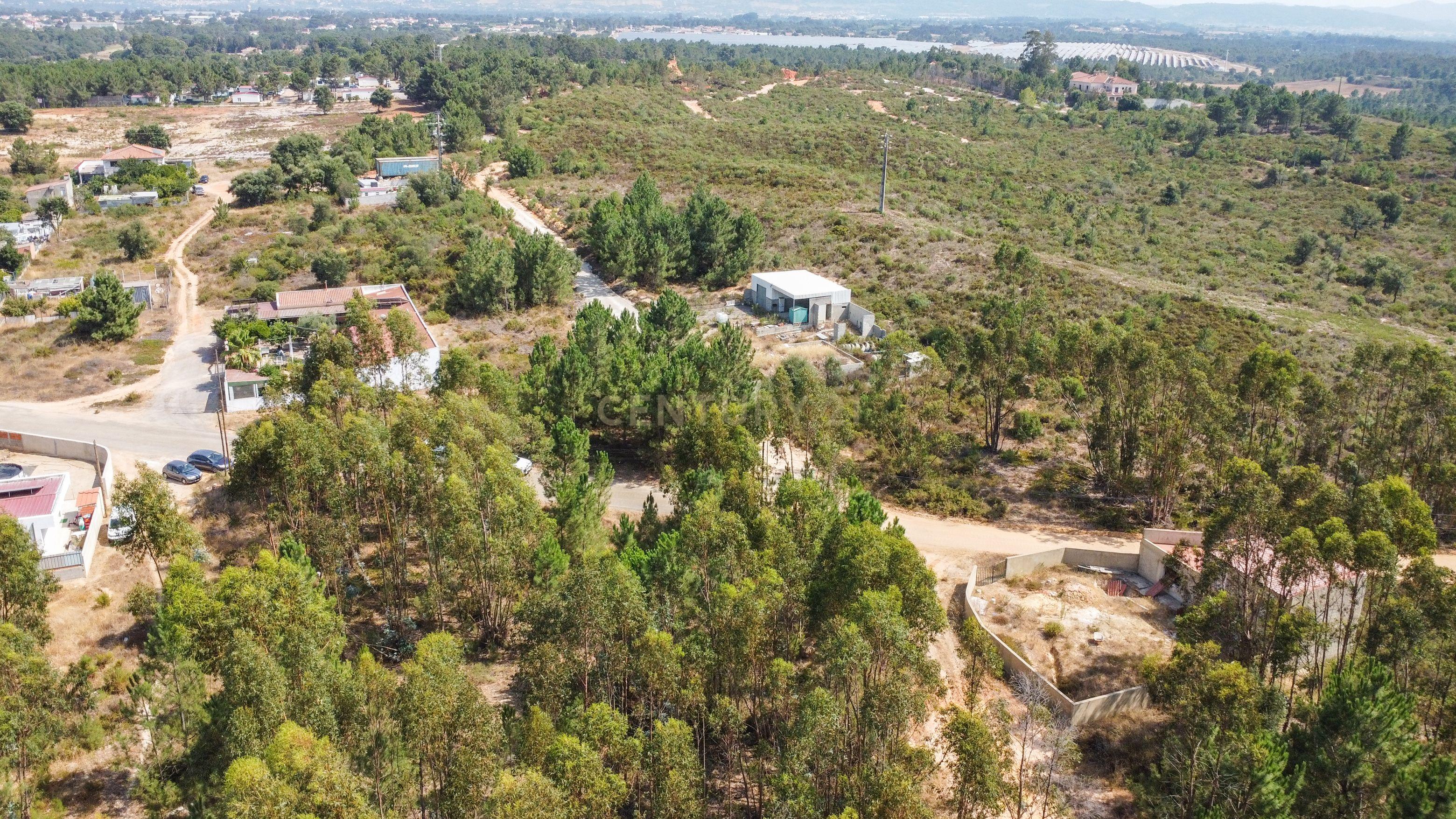 Fotografia 12 de Lote de Terreno com Elevado Potencial de Construção – Herdade do Pinhal das Formas, Quinta do Anjo