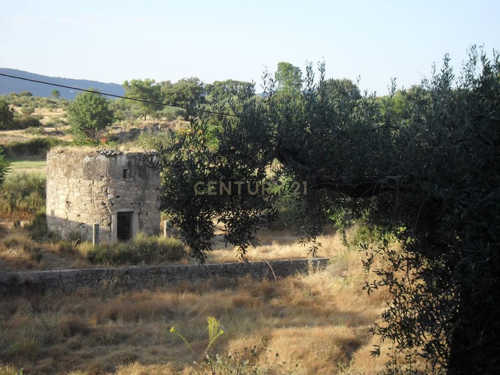 Quinta do Ervedal – 15,7 hectares de História e Beleza Natural em Castelo Novo - Image 55