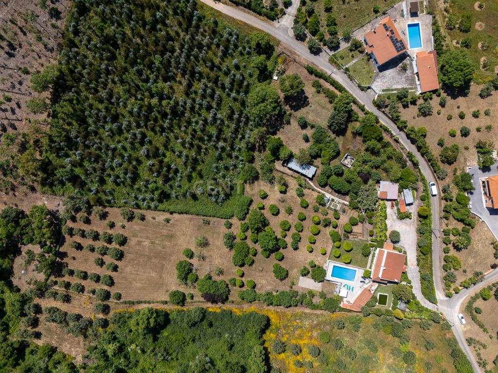 Quinta de 1ha vedada com piscina, jacuzzi, pomar e vista panorâmica em Olalhas, Tomar - Image 31
