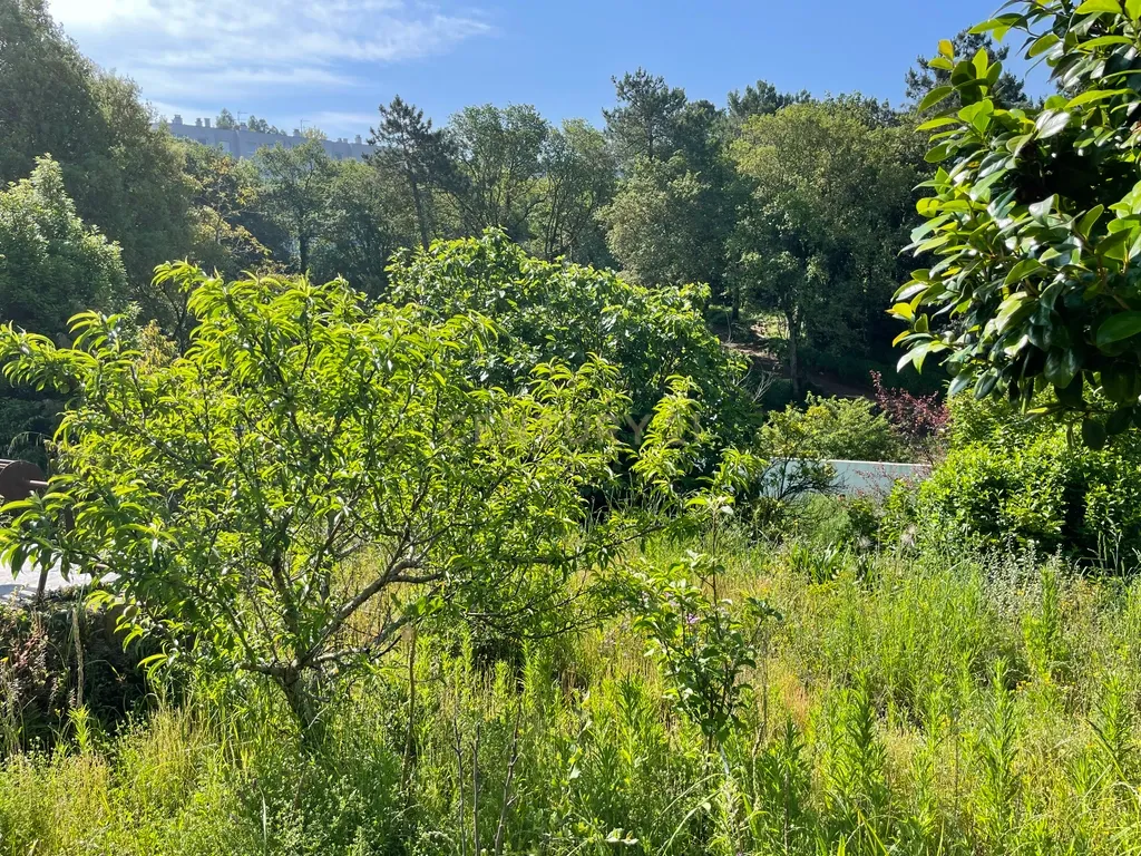 Propriedade junto ao Freixo - Image 22