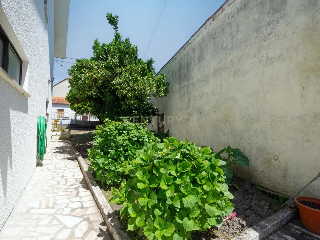 Moradia T3 com anexos e garagem para 3 carros – Canedo, Pampilhosa - Image 64