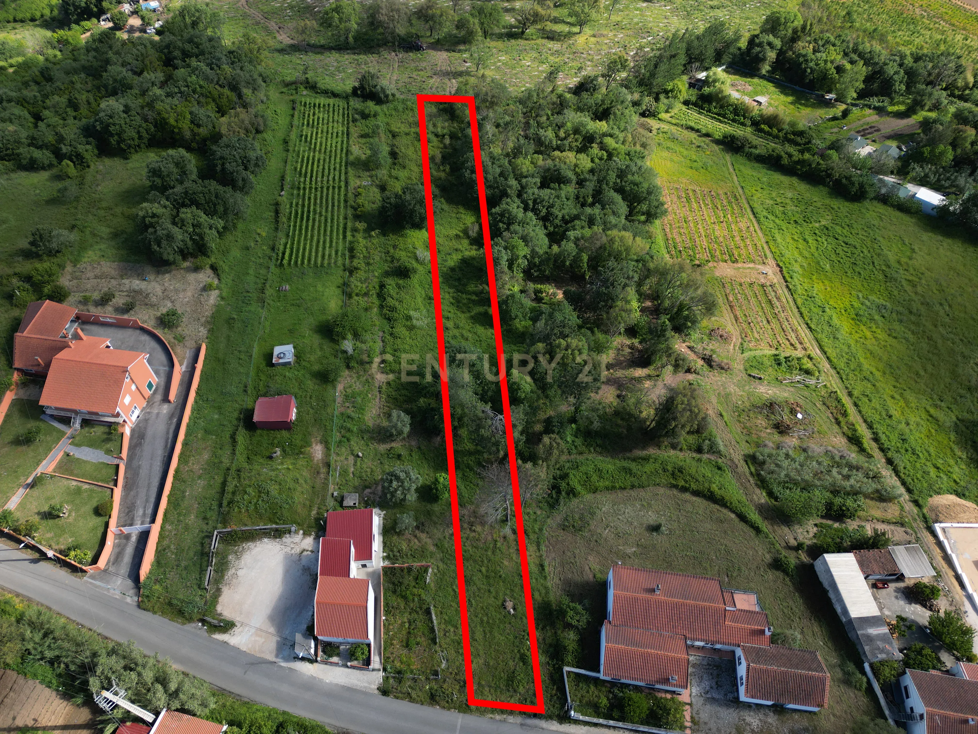Fotografia 9 de Terreno para construção - Bemposta, Maiorga, Alcobaça
