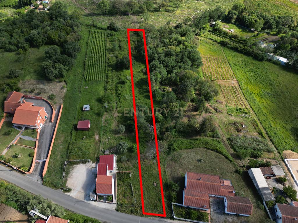 Terreno para construção - Bemposta, Maiorga, Alcobaça - Image 9