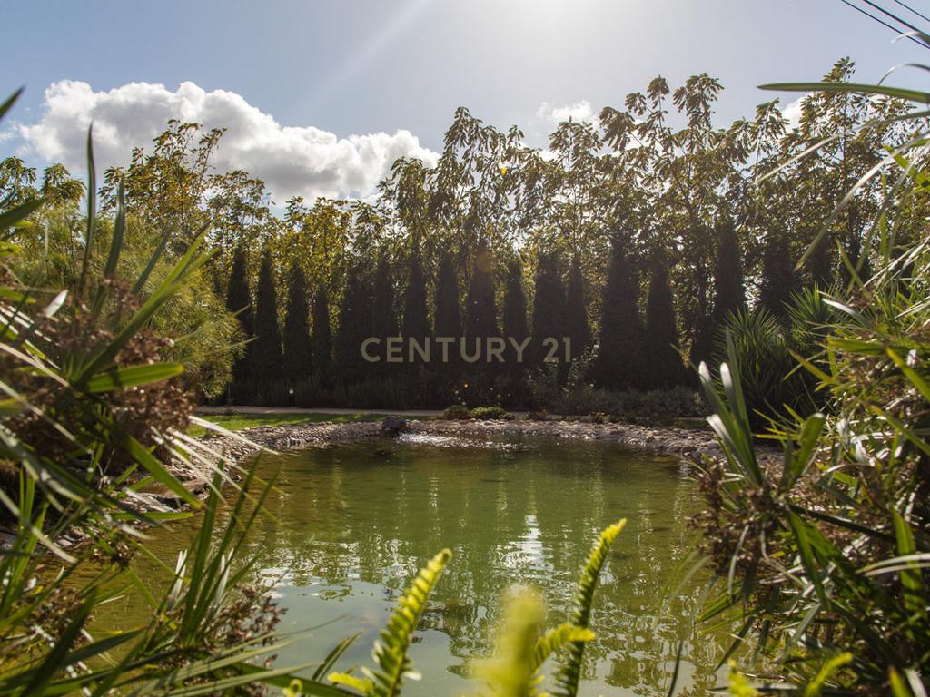Propriedade T8 com Jardins, Lago e Potencial Alojamento - Localização Premium - Image 58