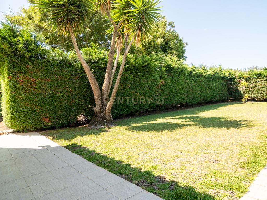 Moradia T4 Isolada com 308 m2 de construção, Jardim, com 4270 m² de Terreno. - Image 86