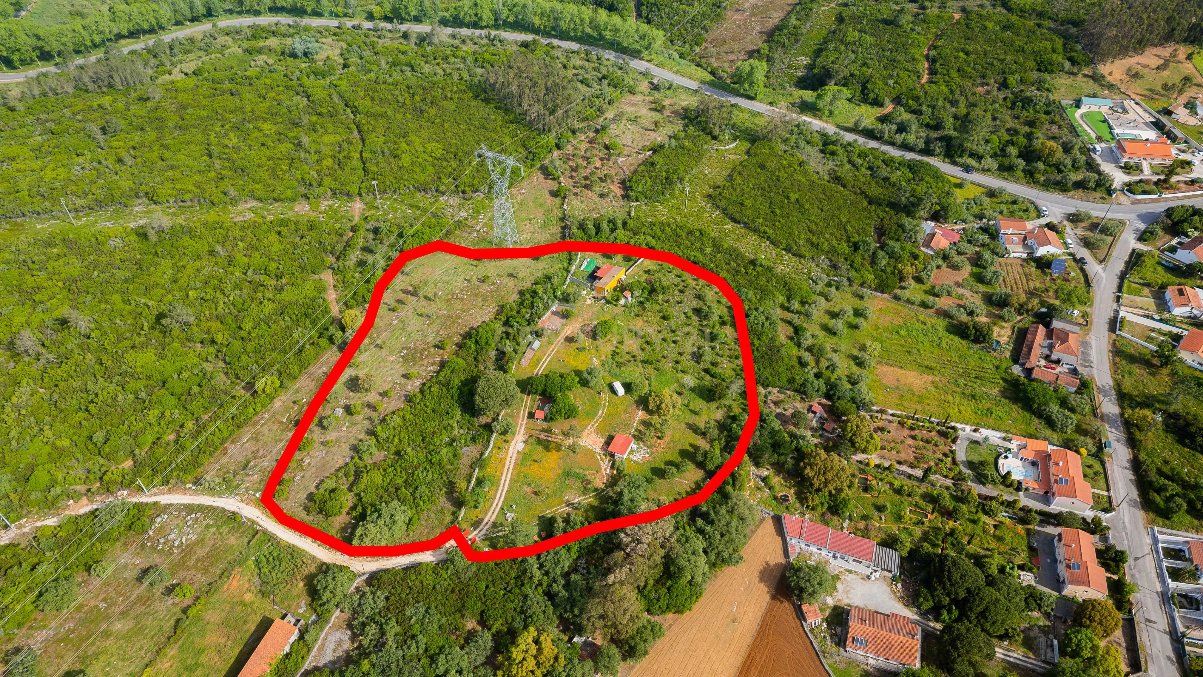 Quinta com habitação - Alcobaça - View 5