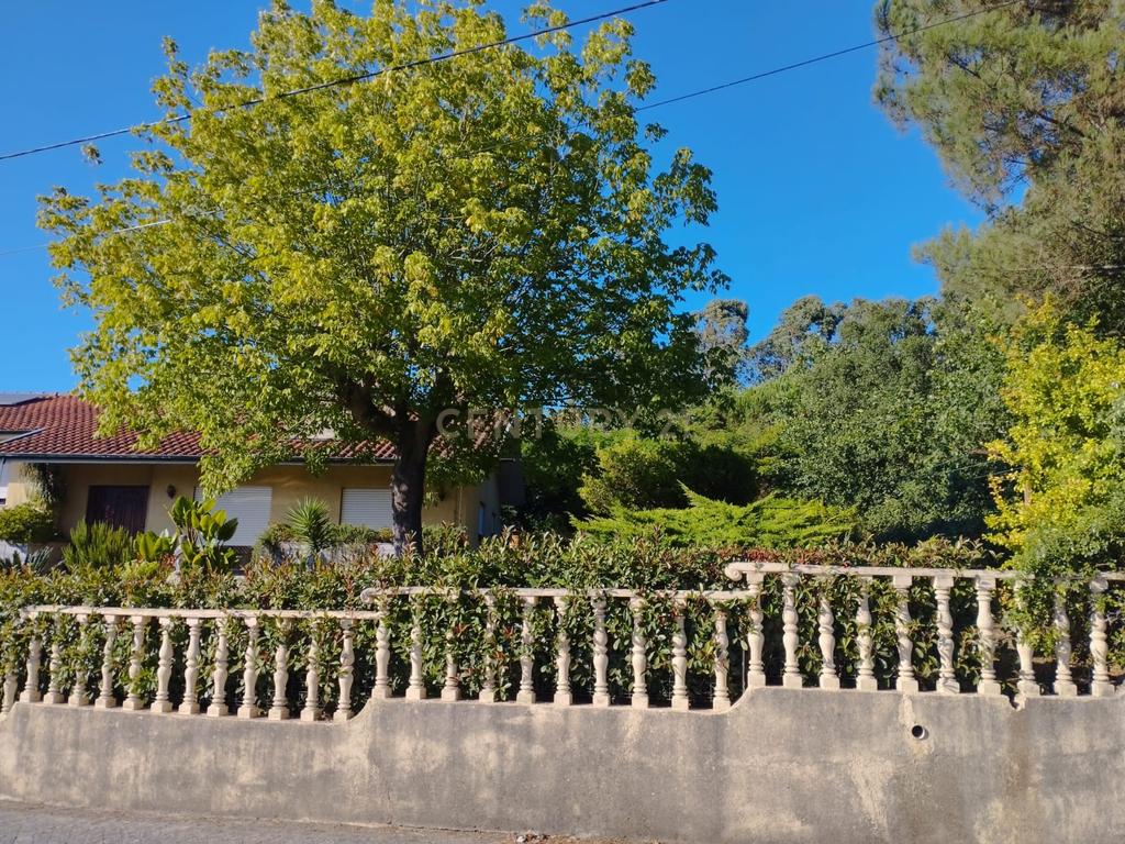 Grande moradia térrea, em Santo Tirso com área de lazer, anexo, jardim e terreno agrícola, Porto - Image 57