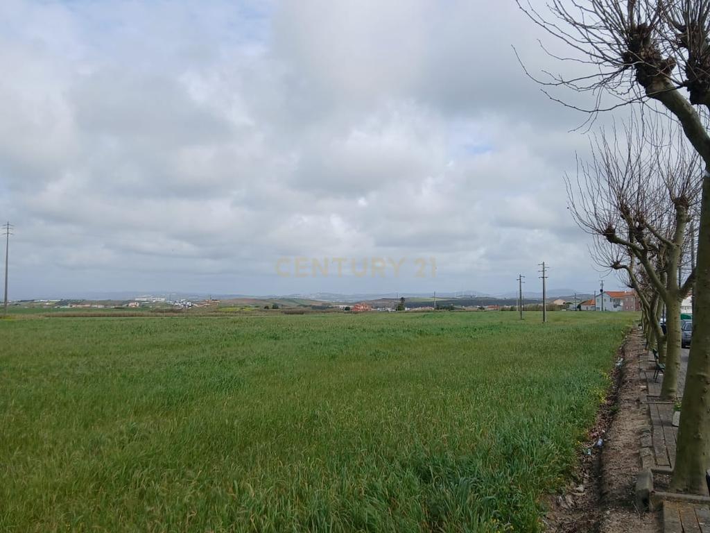 Terreno para urbanizar em Assenta - Image 6