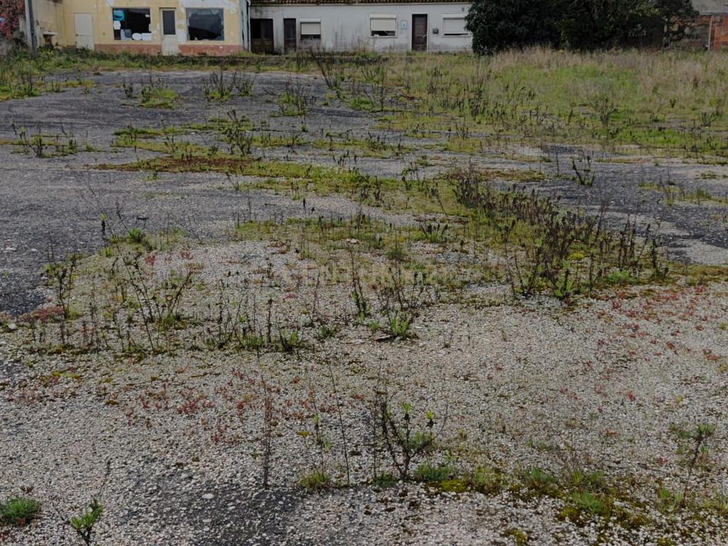 Oportunidade Única em Alenquer: Casa para Recuperar em Lisboa - Image 1