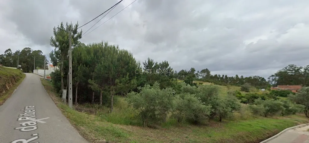 Terreno Rústico com Potencial de Construção | Ribeira de Santo Amaro – Louriçal - Image 2