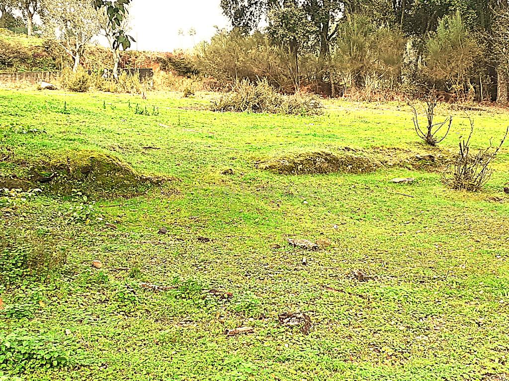 Belíssima ruína em terreno verdejante com vista deslumbrante para o Rio Douro, Baião, Porto - Image 39