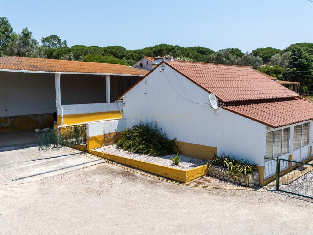 Quinta Equestre a 45 minutos de Lisboa - Image 9