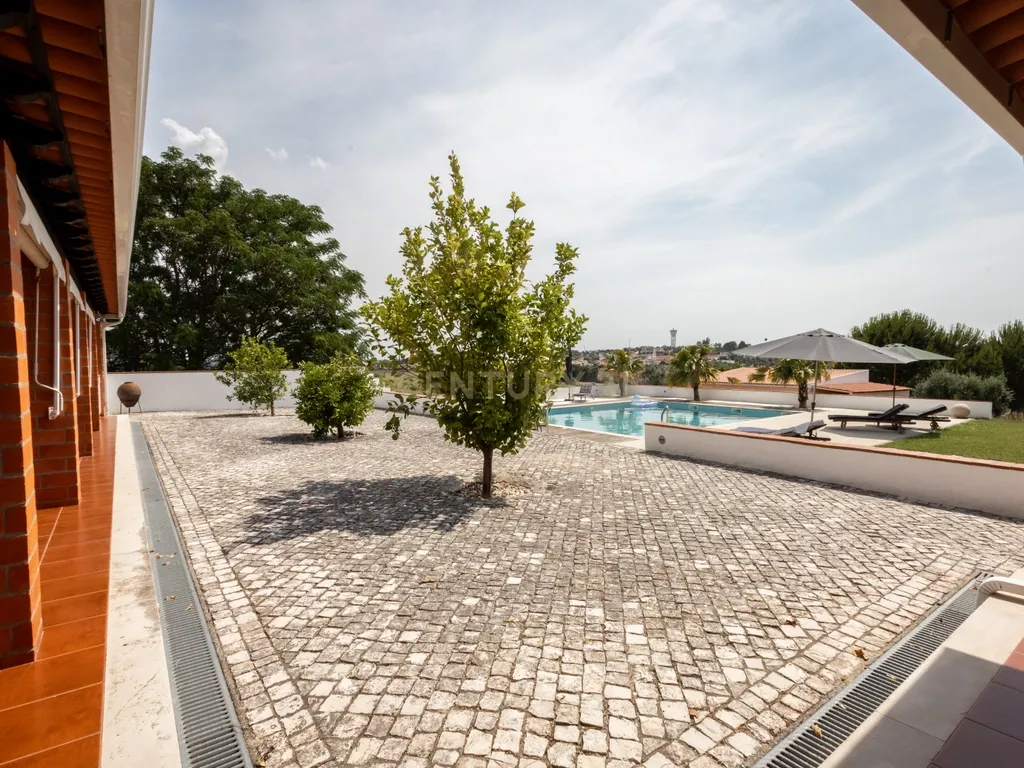 Propriedade Única com Piscina, Lago e Produção de Azeite - Image 46