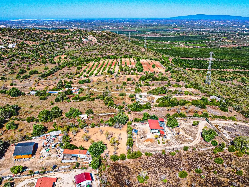 Terreno Rústico com 1.800 m² | Natureza, Privacidade e Excelente Potencial | Paderne - Image 4