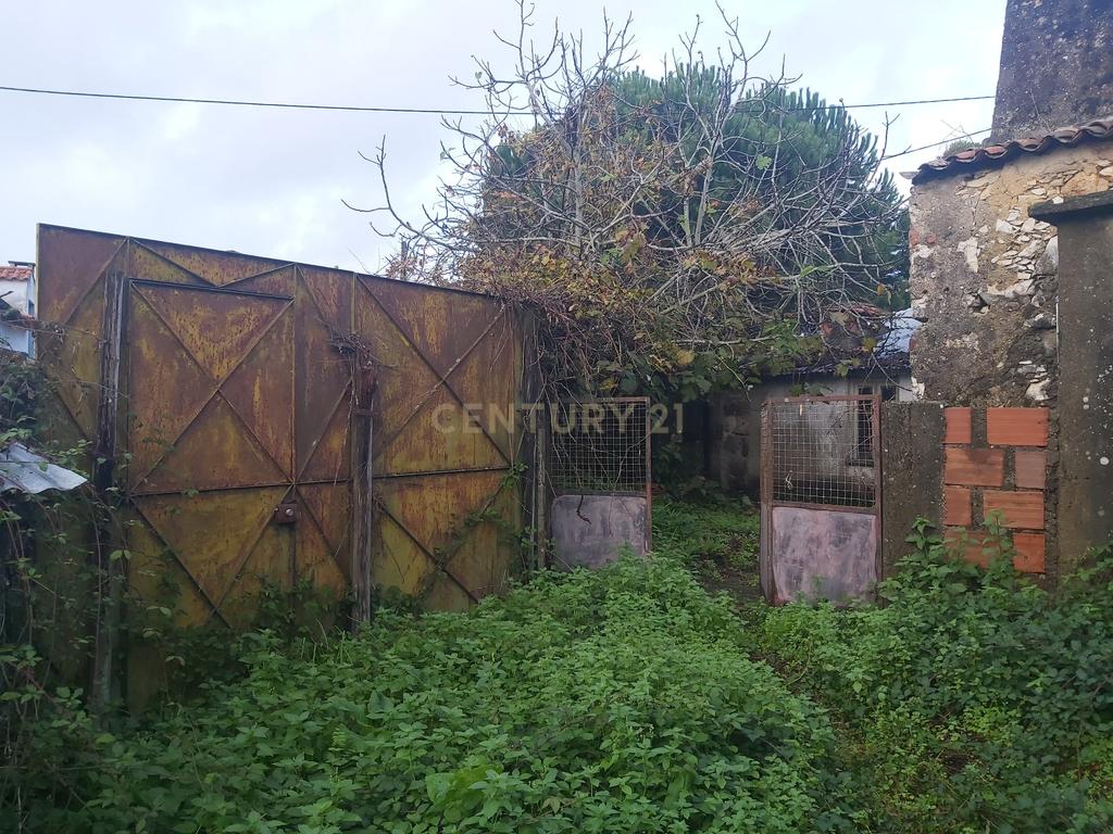 Casa em Aldeia, Assamassa, Soure - Image 21
