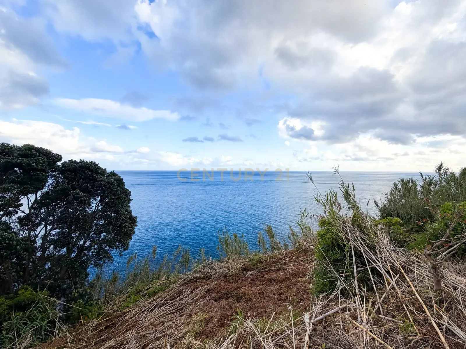 Fotografia 3 de Oportunidade Única | Moradia com Vista Mar e Projeto Aprovado em Ponta Garça, Vila Franca do Campo