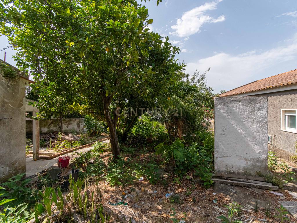 Moradia T3 em São João dos Montes - Image 14