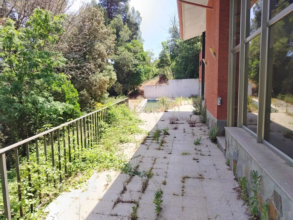- Image 32