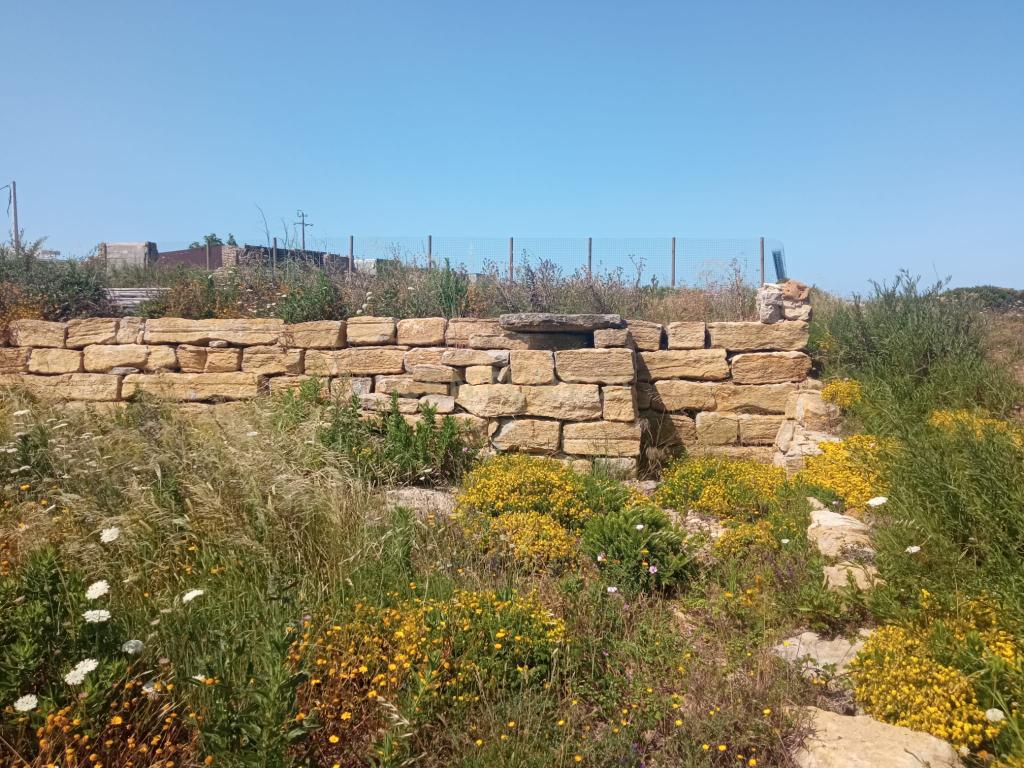 Terreno em Sintra, Perto da Praia de São Julião  - Image 13
