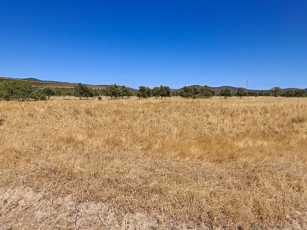 Terreno Rústico com Grande Potencial Agrícola – 7.800 m² em Paderne, Albufeira - Image 7