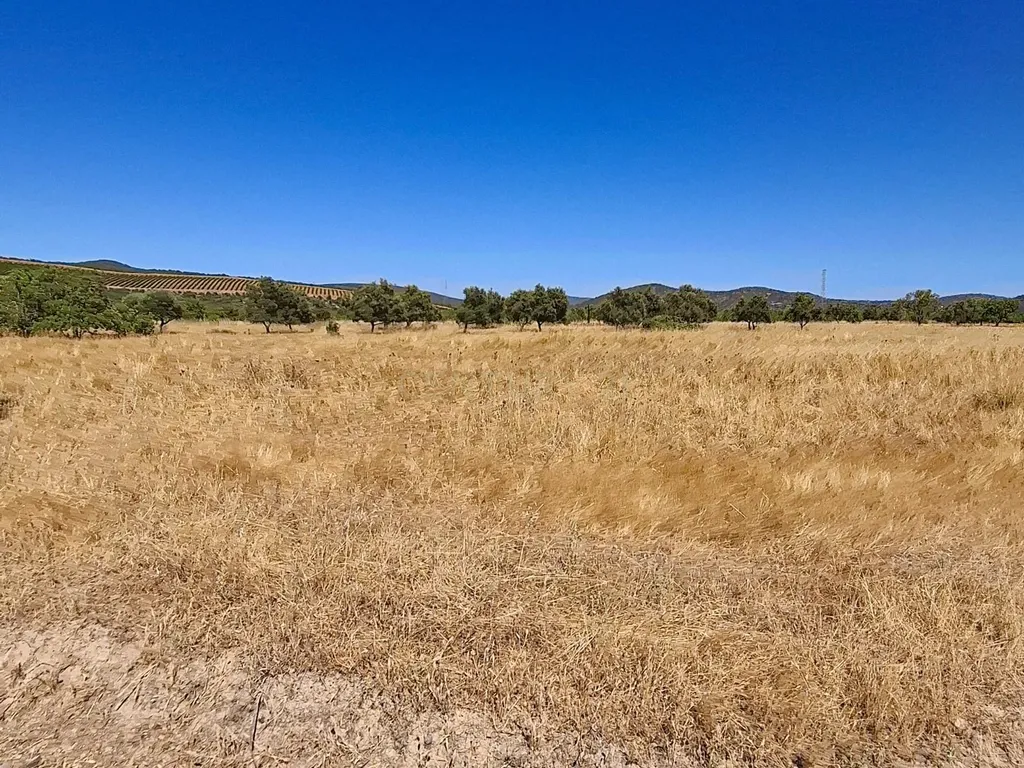 Terreno Rústico com Grande Potencial Agrícola – 7.800 m² em Paderne, Albufeira - Image 7