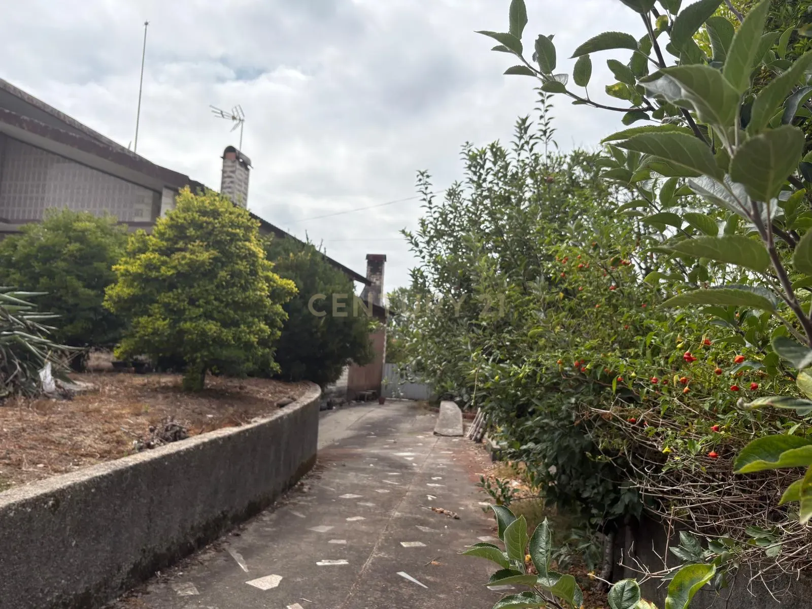Fotografia 6 de Espaçosa Moradia T4 em Oliveira do Bairro, Aveiro