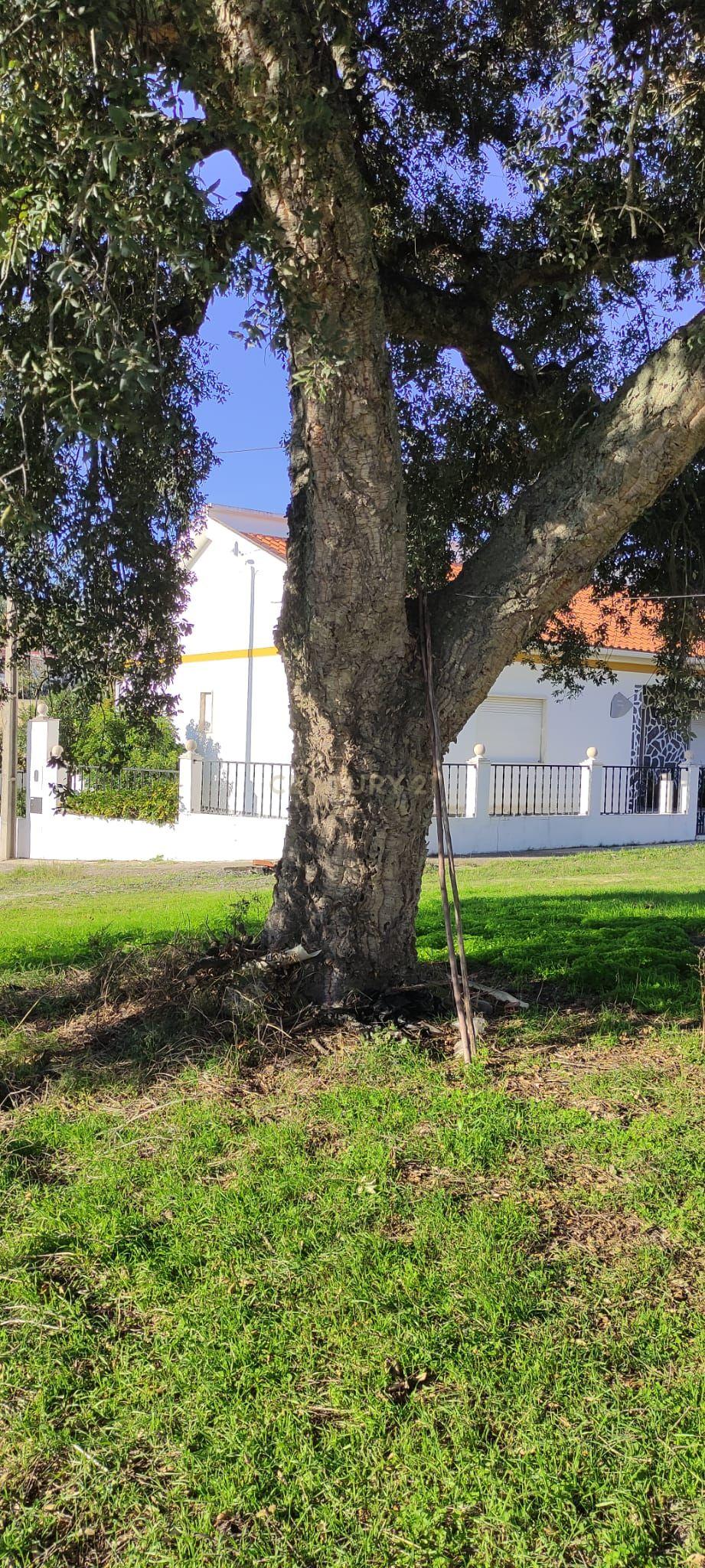 Terreno c/ projeto de loteamento aprovado para 10 lotes a 20 min de Lisboa - Image 17