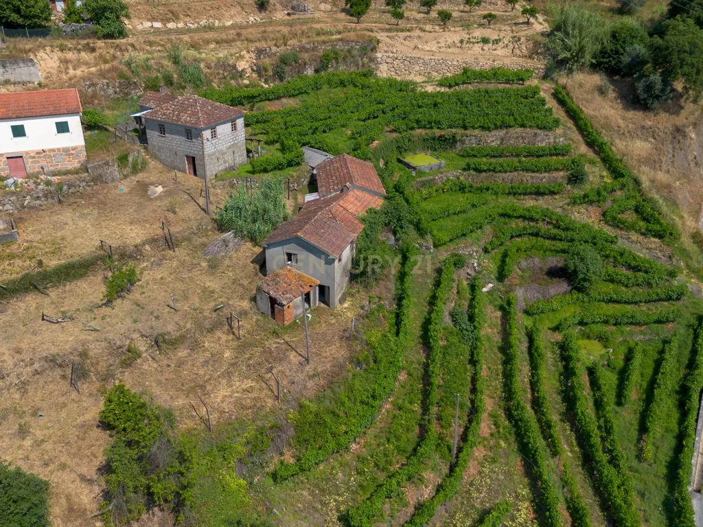 Quintinha com 2 casas em pedra para recuperar + 2 terrenos com vinhas-( 8.210m2 ) -Douro Vinhateiro! - Image 47
