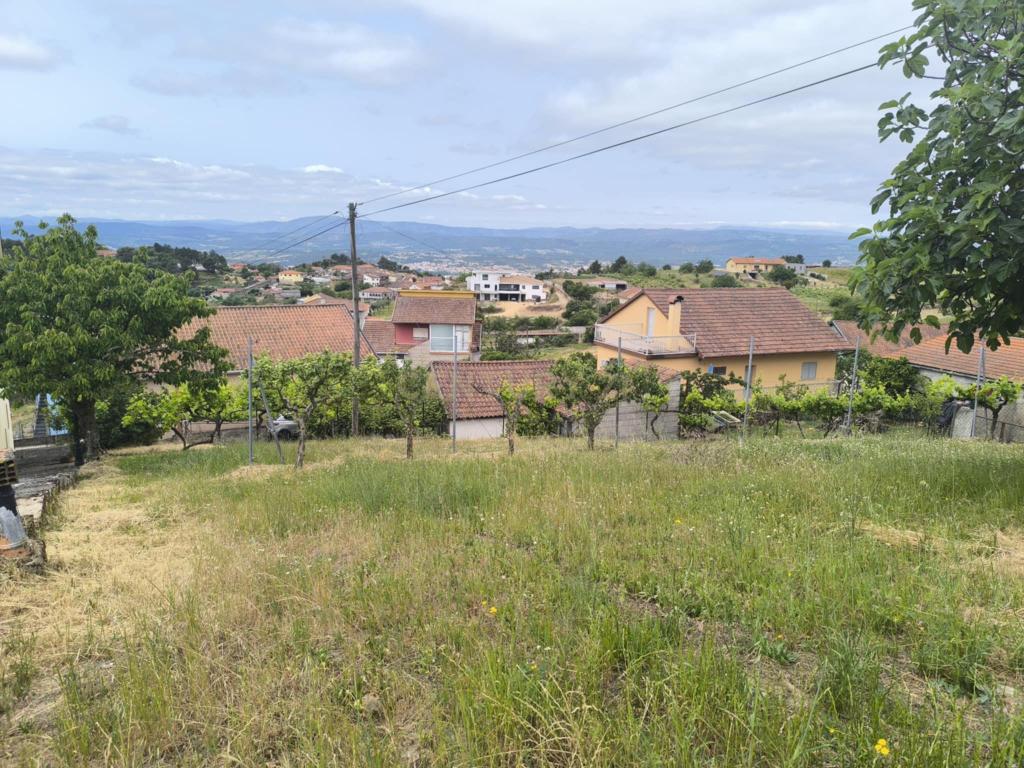 Casas prontas a habitar com terreno, arvores de fruto, forno e água própria. - Image 25