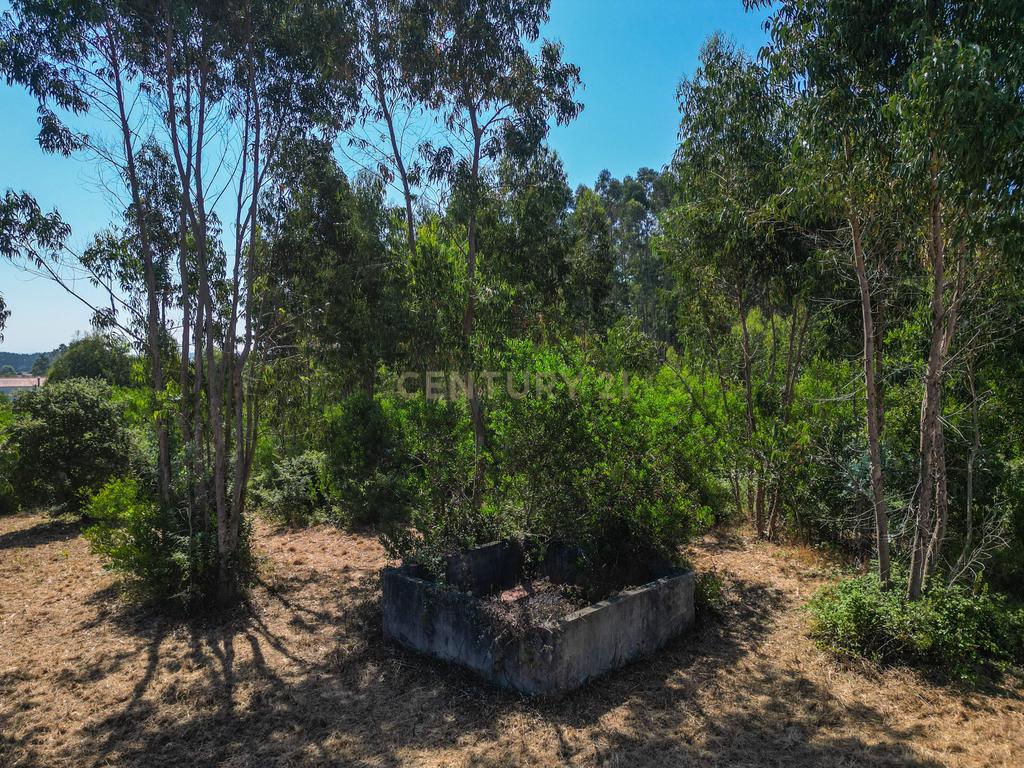 Terreno para investimento em Lavos, Figueira da Foz apenas a 5km da praia - Image 16
