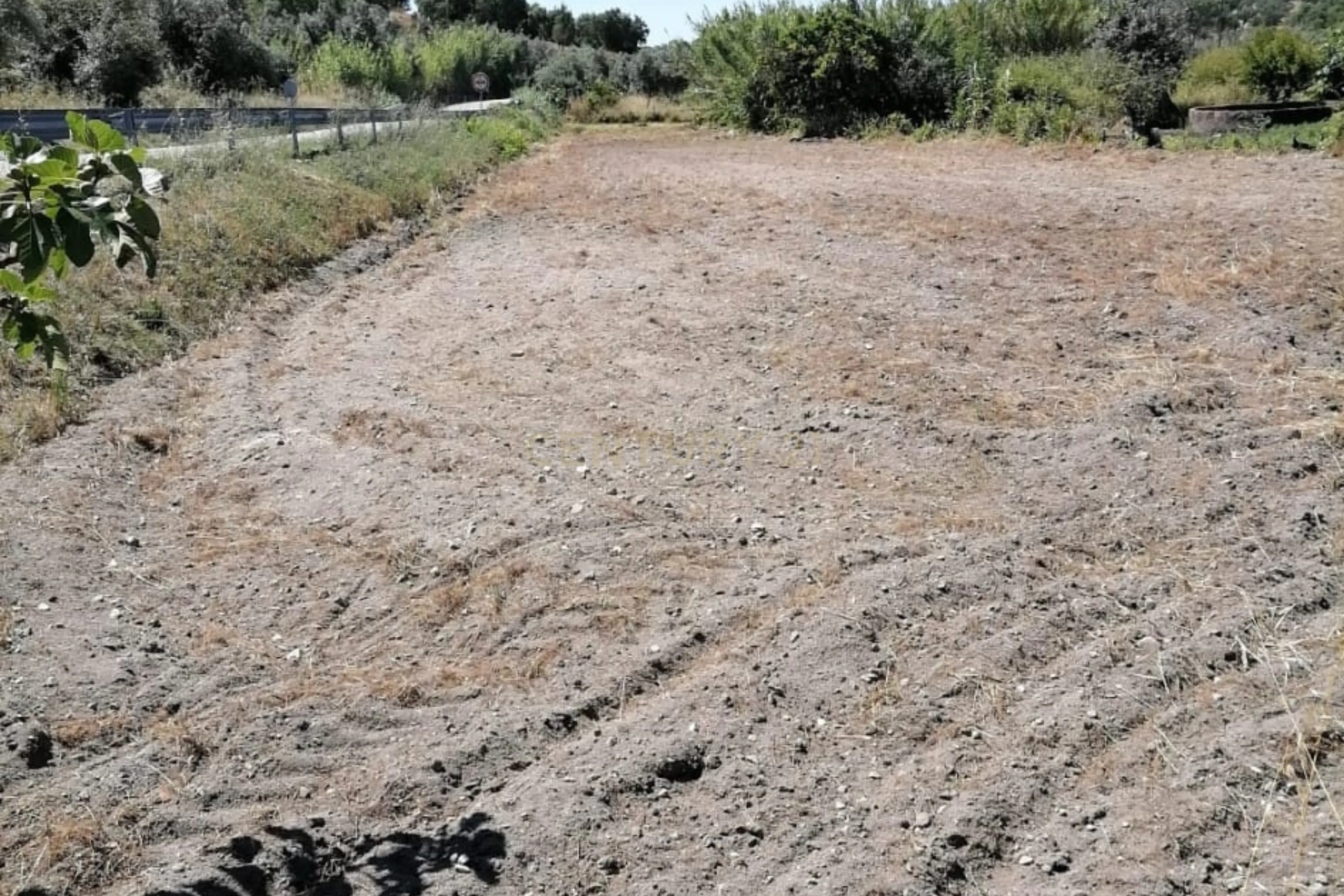 Fotografia 11 de Terreno Agrícola em Gavião, Portalegre - 2500m² com casa