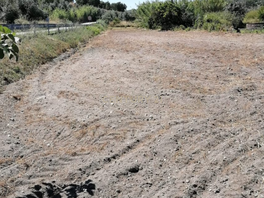 Terreno Agrícola em Gavião, Portalegre - 2500m² com casa - Image 11