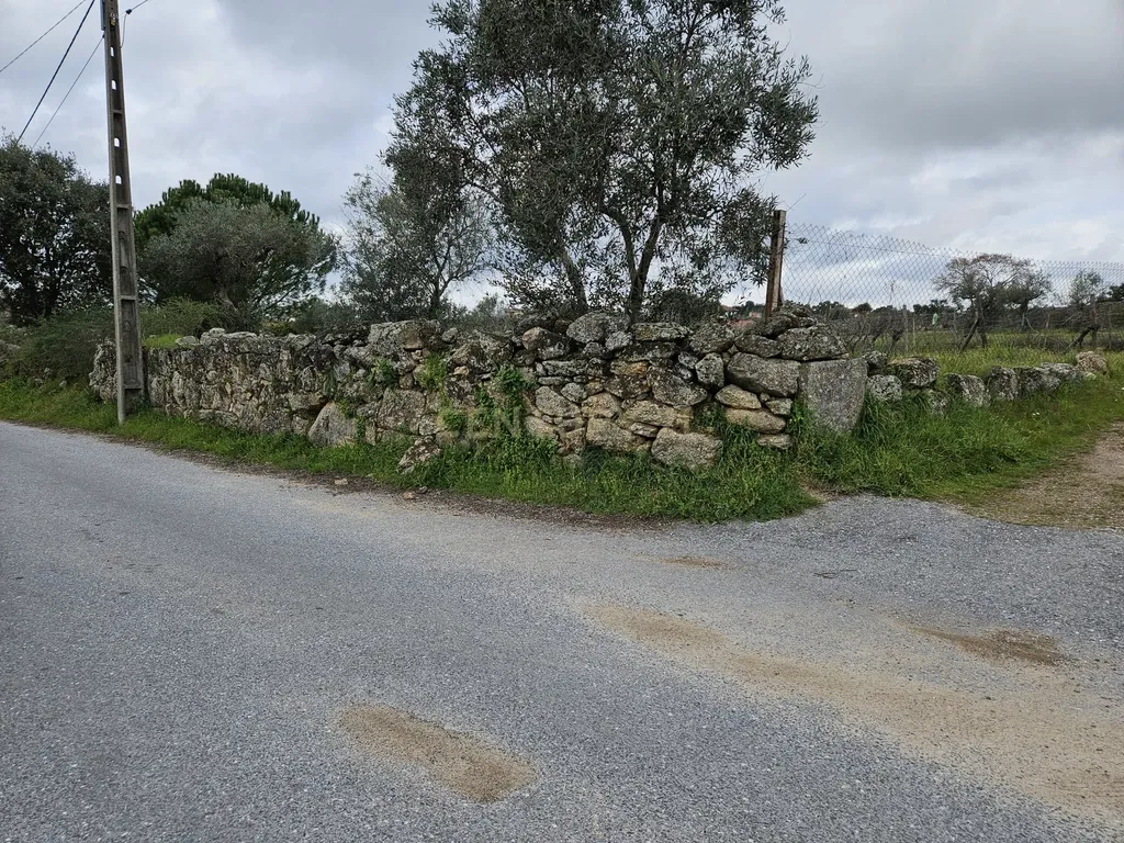 Quintinha na Lousa, Castelo Branco - Image 38