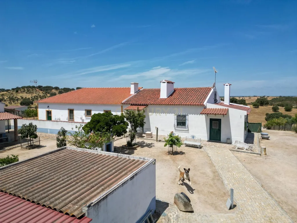 Herdade de 62 Hectares no Coração do Alentejo – Évora - Agricultura - Pecuária - Turismo Rural - Painéis Solares - Image 42