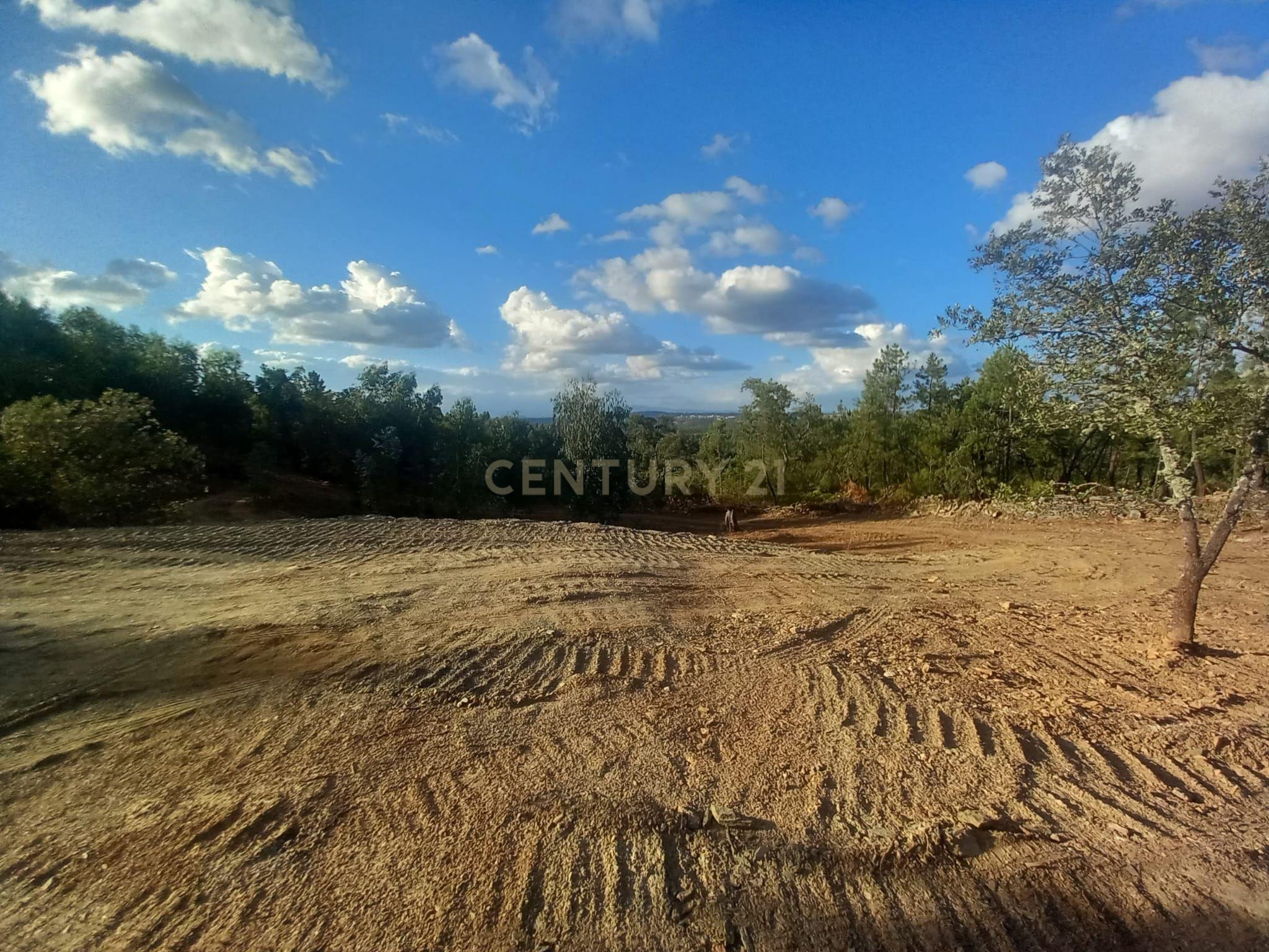 Fotografia 3 de Terreno em Benquerenças, Castelo Branco - 2800m²